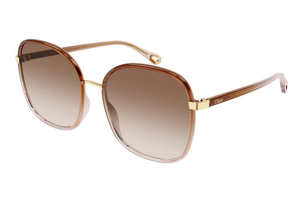 Chloé   CH0031S 007 BROWN