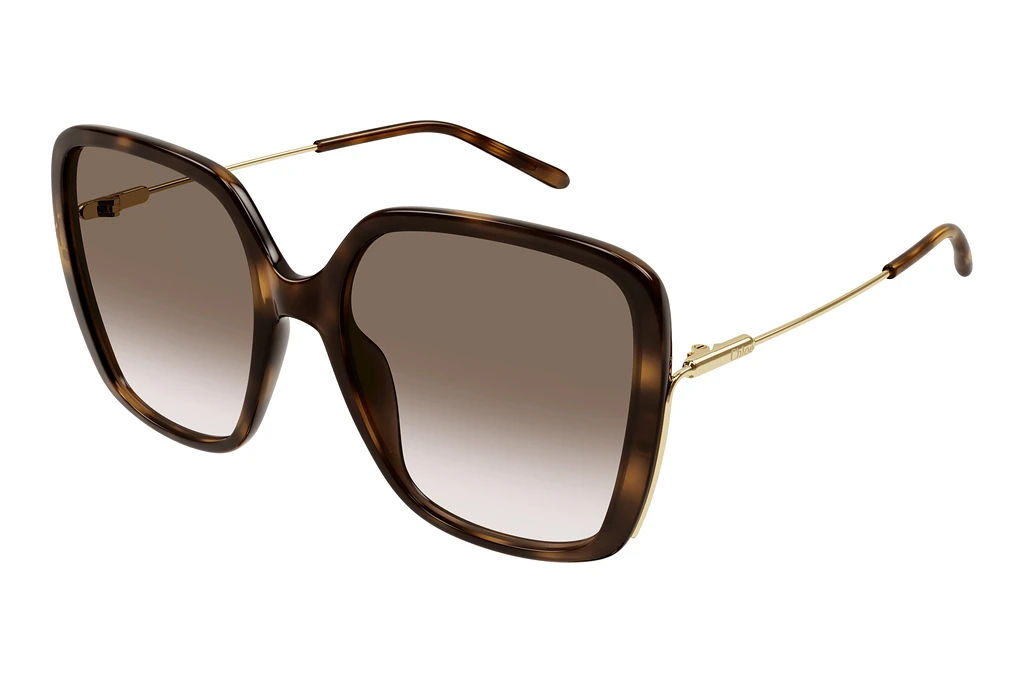 Chloé   CH0173S 002 HAVANA