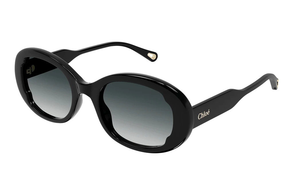 Chloé   CH0197SA 001 BLACK
