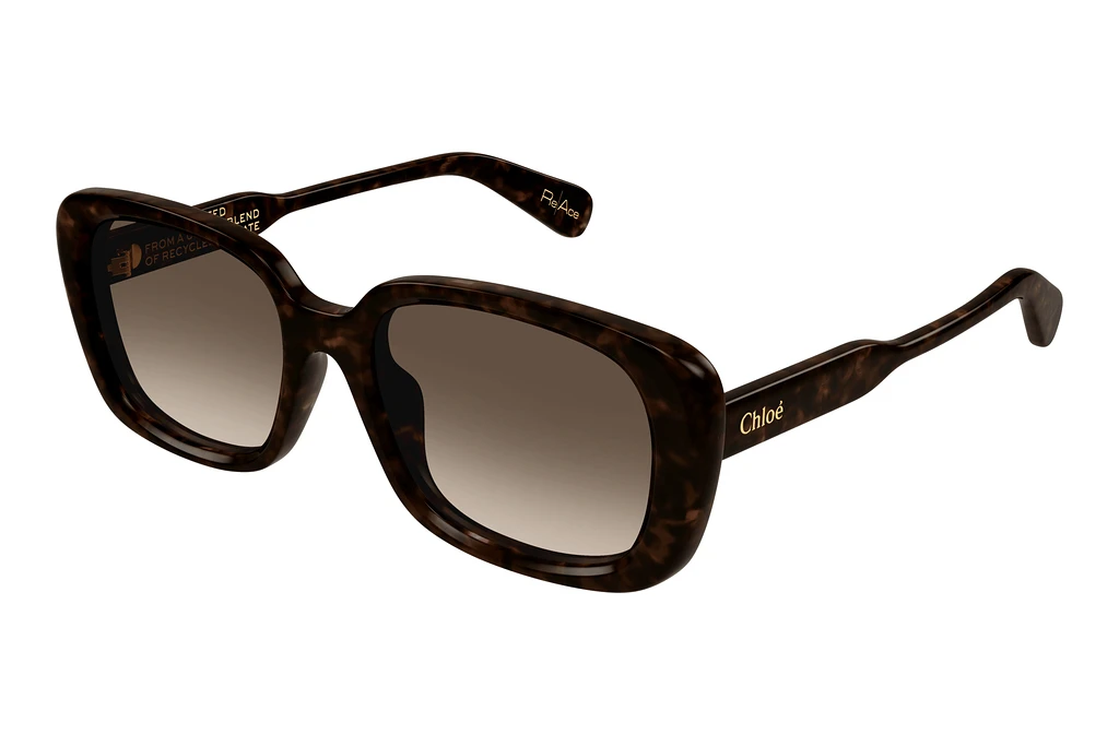 Chloé   CH0225SK 002 