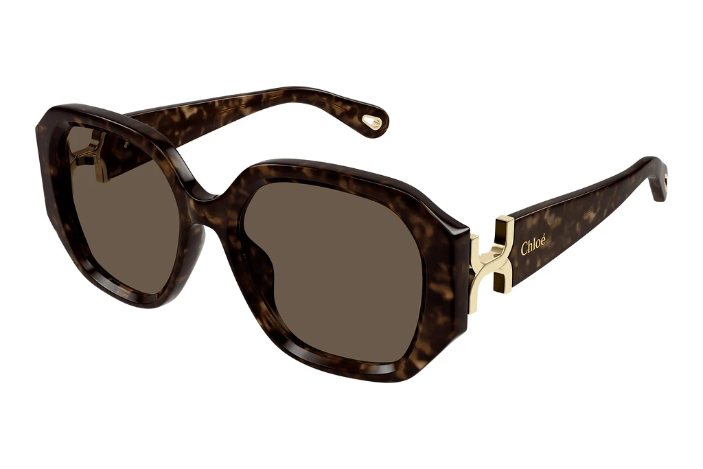 Chloé   CH0236S 002 HAVANA