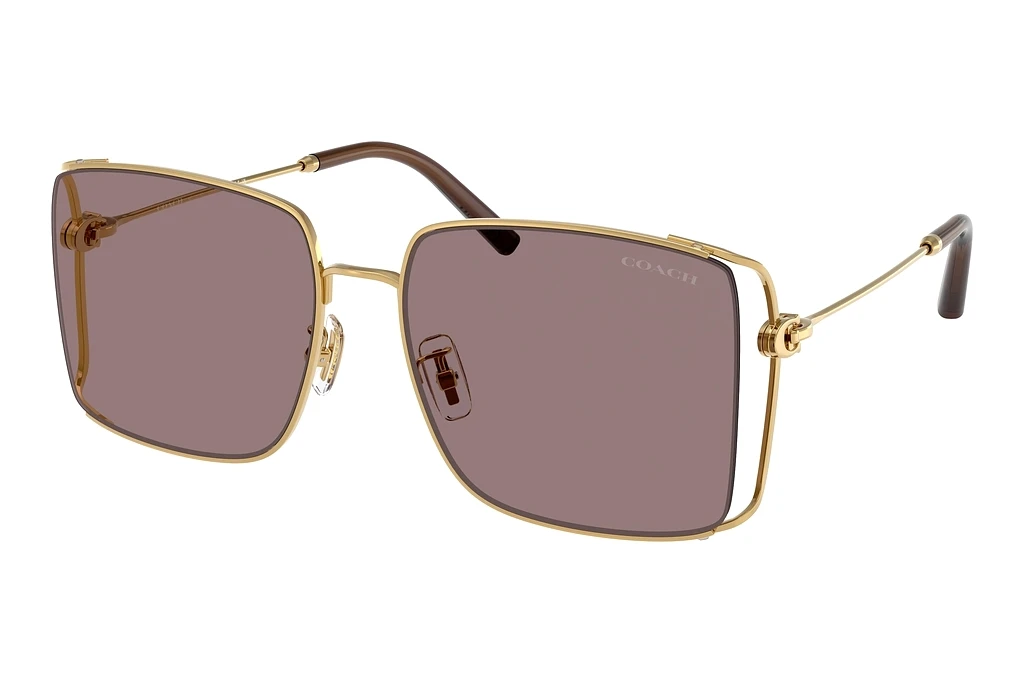 Coach   HC7174D 94417N Mauve SolidShiny Gold