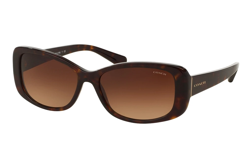 Coach   HC8168 512013 Brown GradientDark Tortoise