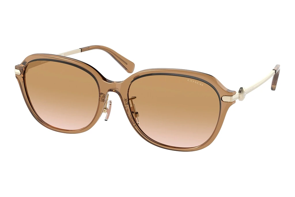 Coach   HC8332D 565413 Brown GradientTransparent Brown