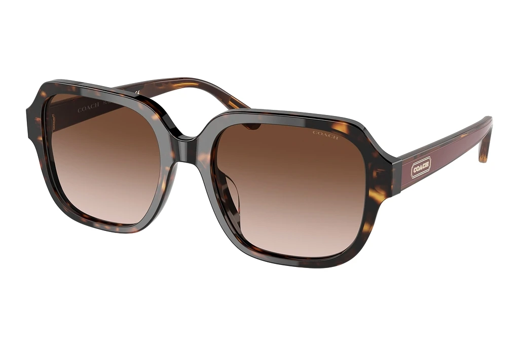 Coach   HC8335U 512013 Brown GradientDark Tortoise