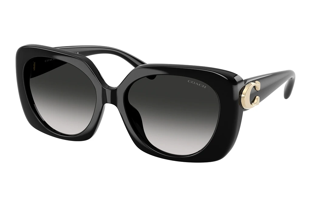 Coach   HC8422U 50023C Grey GradientBlack