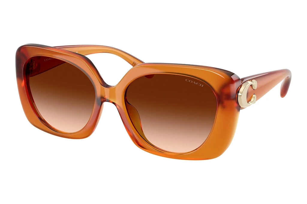 Coach   HC8422U 564774 Brown GradientMilky Amber