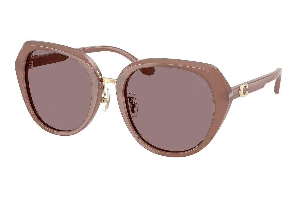 Coach   HC8436 54957N Purple SolidMilky Putty