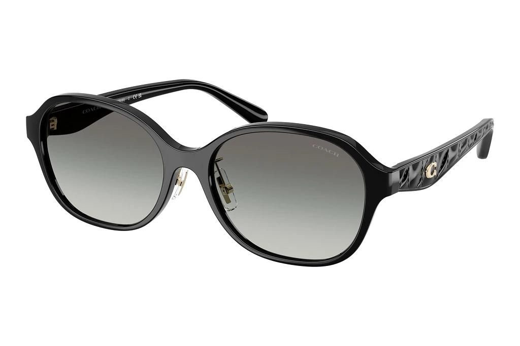 Coach   HC8445D 500211 Grey GradientBlack