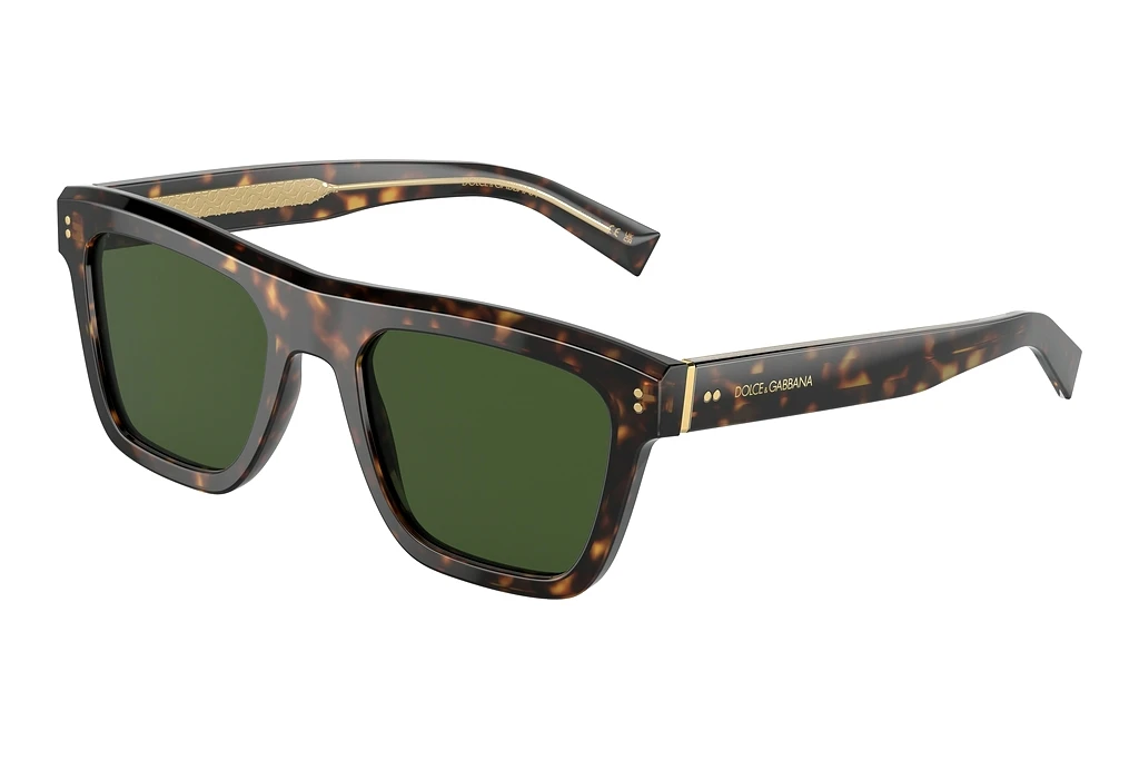 Dolce & Gabbana   DG4420 502/71 Dark GreenHavana