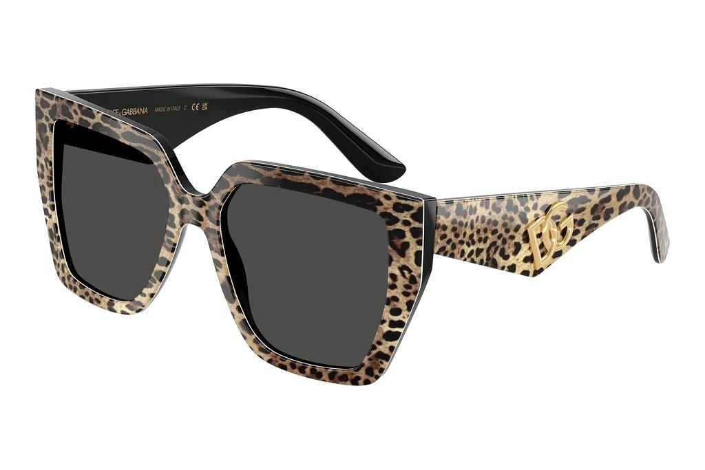 Dolce & Gabbana   DG4438 316387 Dark GreyLeo Brown On Black