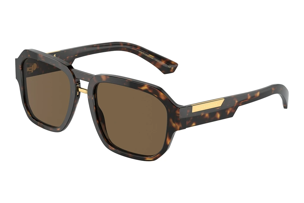 Dolce & Gabbana   DG4464 502/73 Dark BrownHavana