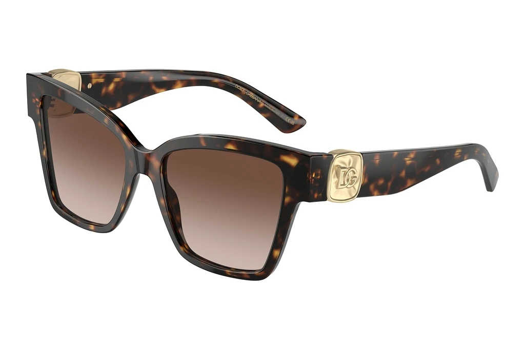 Dolce & Gabbana   DG4470 502/13 Brown GradientHavana