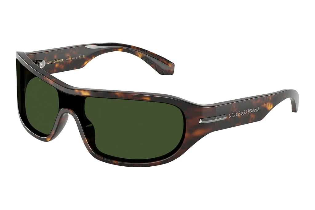 Dolce & Gabbana   DG4486 502/71 Dark GreenHavana