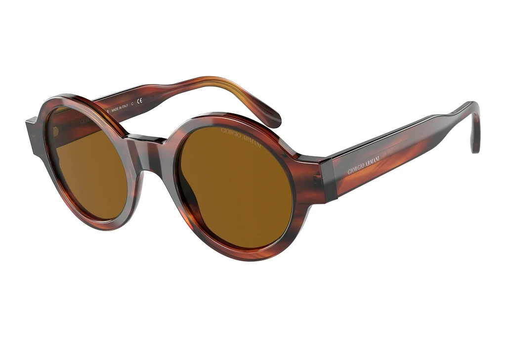 Giorgio Armani   AR 903M 594433 BrownStriped Havana