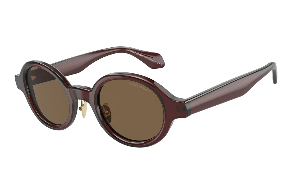 Giorgio Armani   AR8205 606273 Dark BrownTransparent Brown