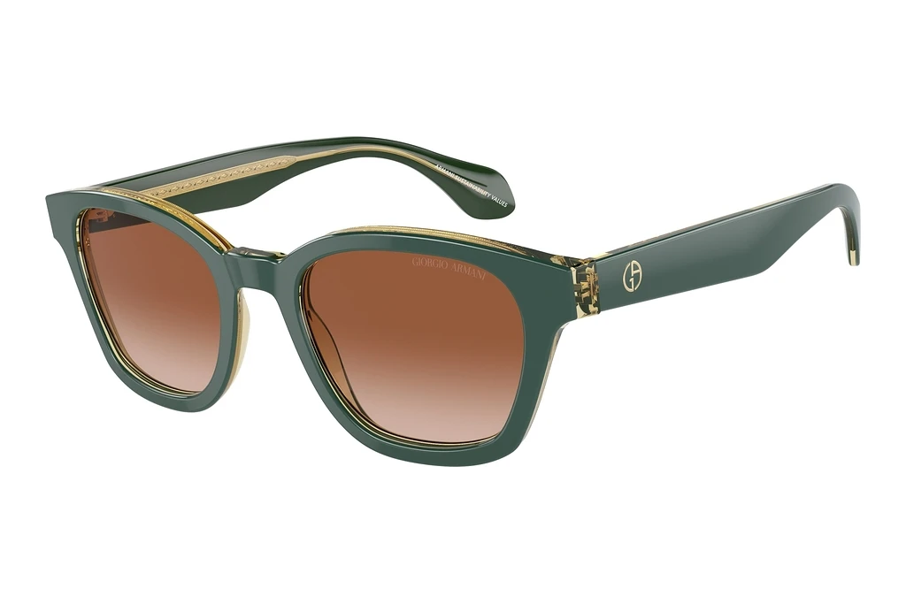 Giorgio Armani   AR8207 608613 Gradient BrownTop Green/Olive Transparent