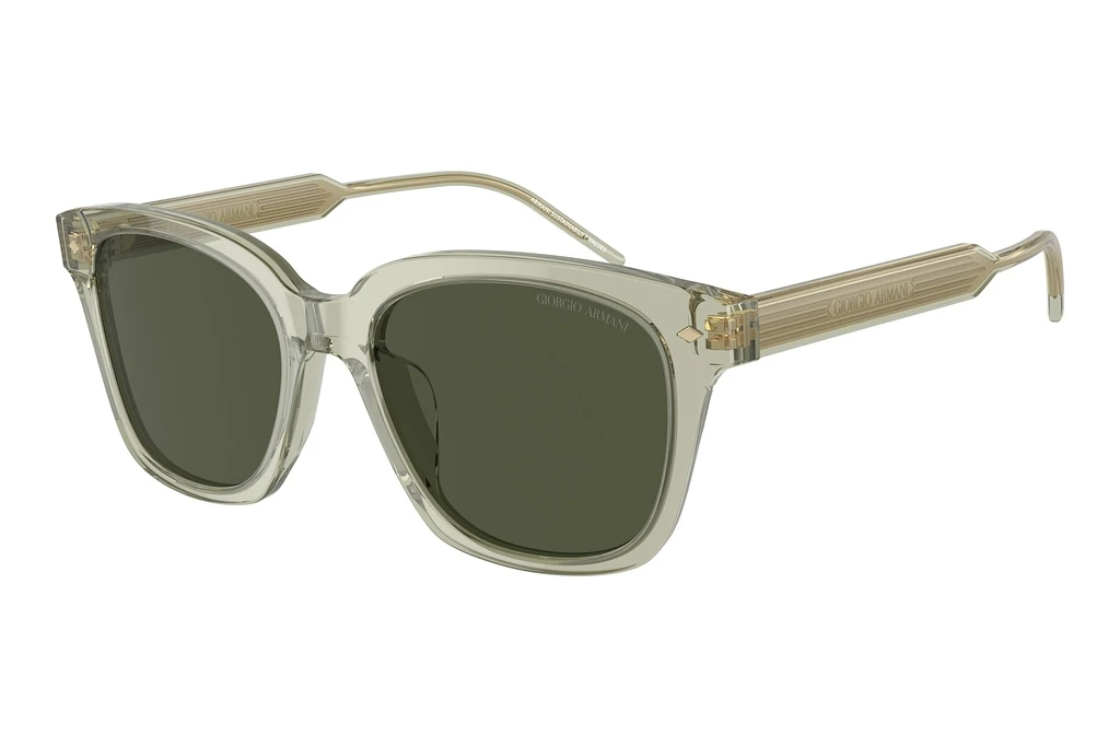 Giorgio Armani   AR8210U 608331 GreenTransparent Green