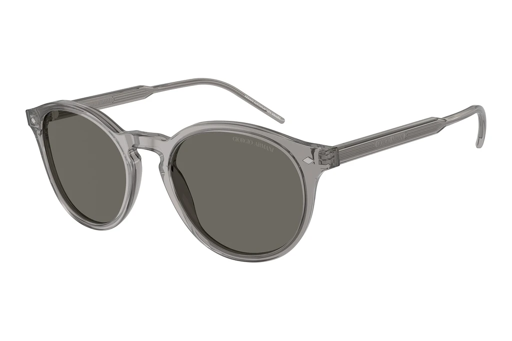 Giorgio Armani   AR8211 6070R5 GreyTransparent Grey