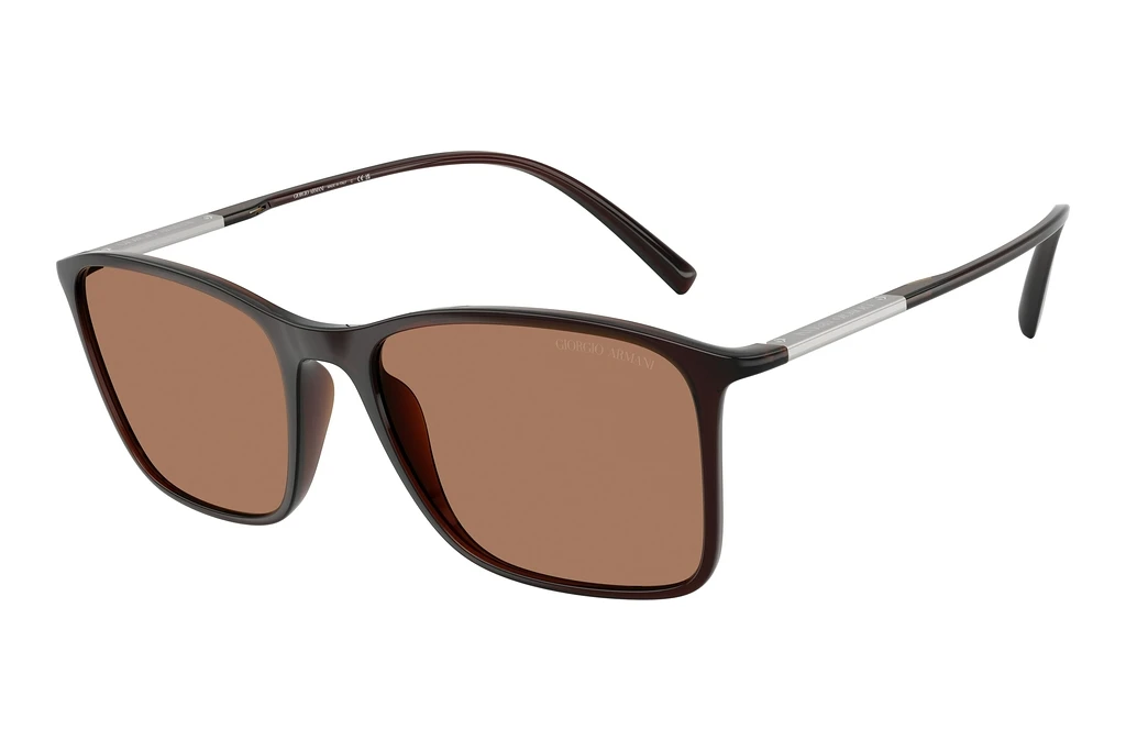 Giorgio Armani   AR8231U 623973 BrownTransparent Brown
