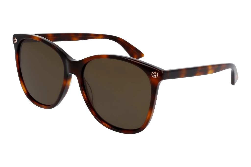 Gucci   GG0024S 002 HAVANA