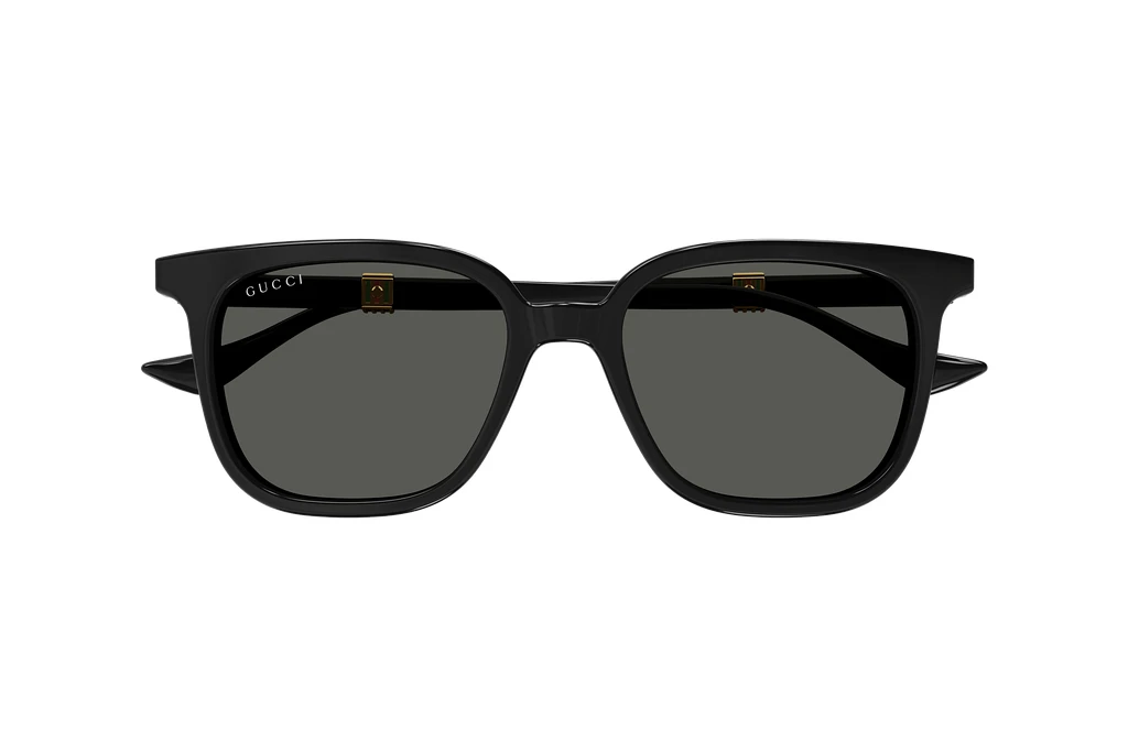 Vorderansicht Gucci GG1493S (001)