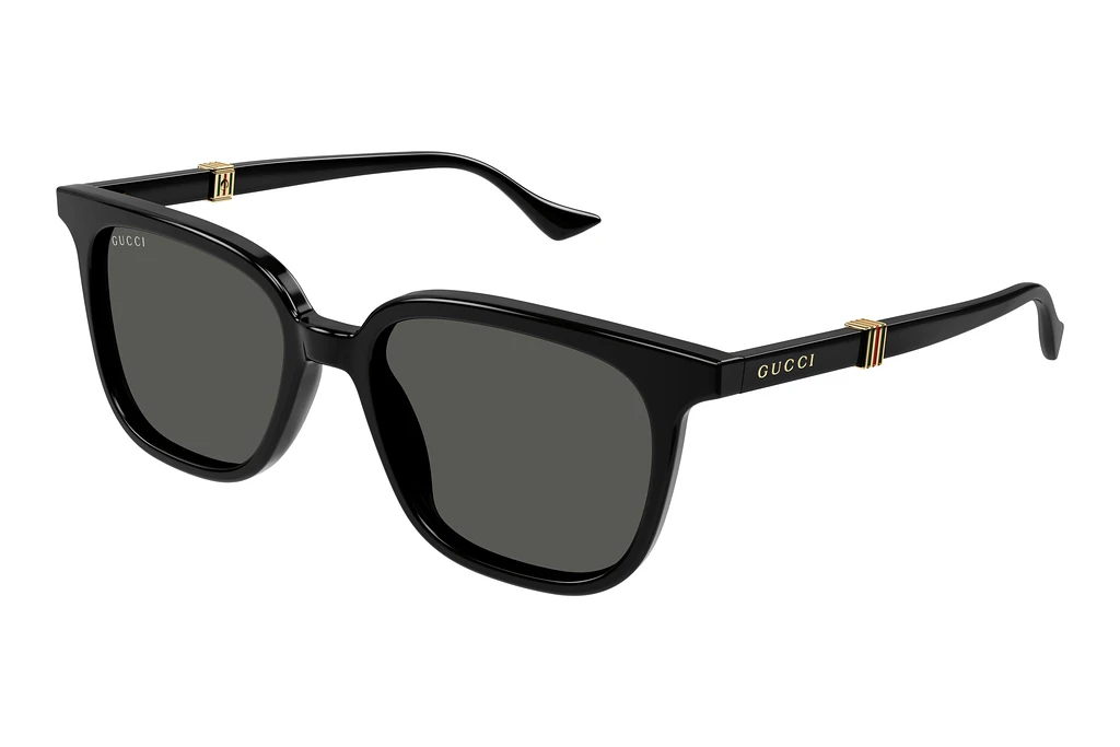 Gucci   GG1493S 001 BLACK