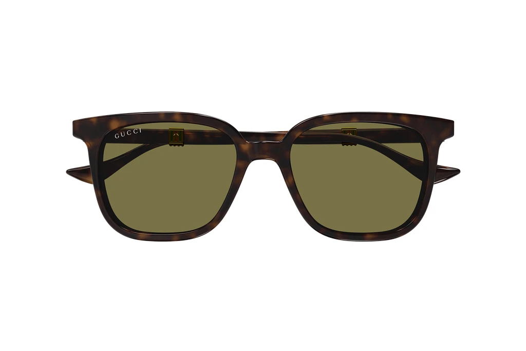 Vorderansicht Gucci GG1493S (002)