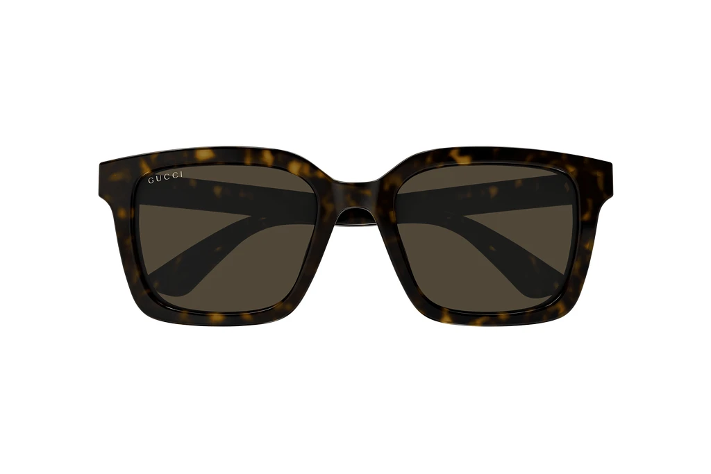 Vorderansicht Gucci GG1582SK (002)