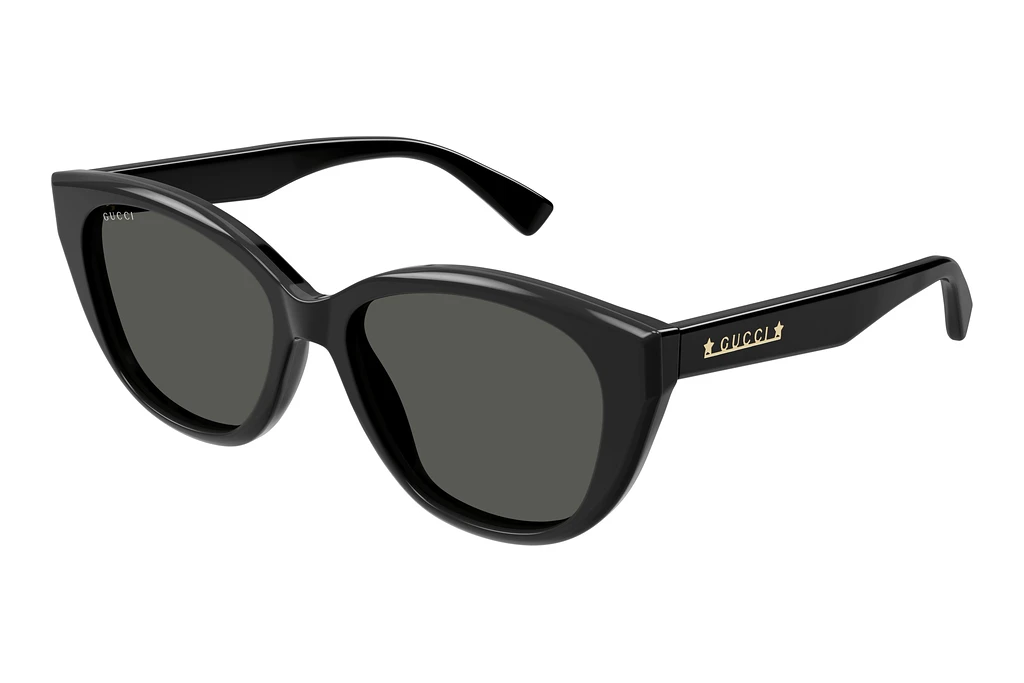 Gucci   GG1588S 001 BLACK