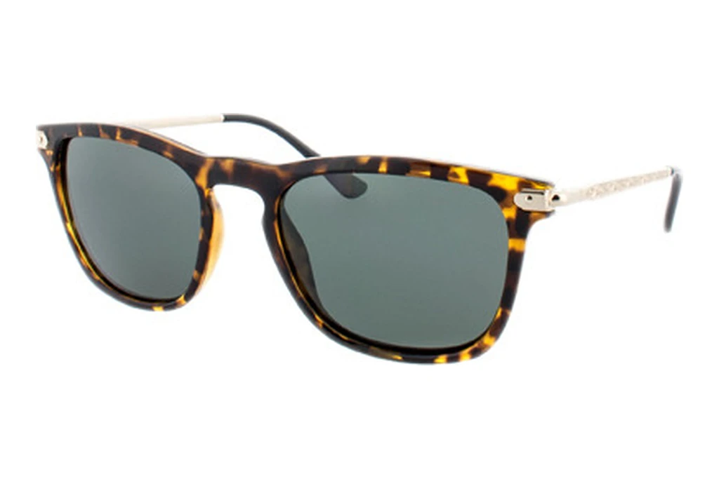 HIS Eyewear   HP78108 3 green POLdemi brown