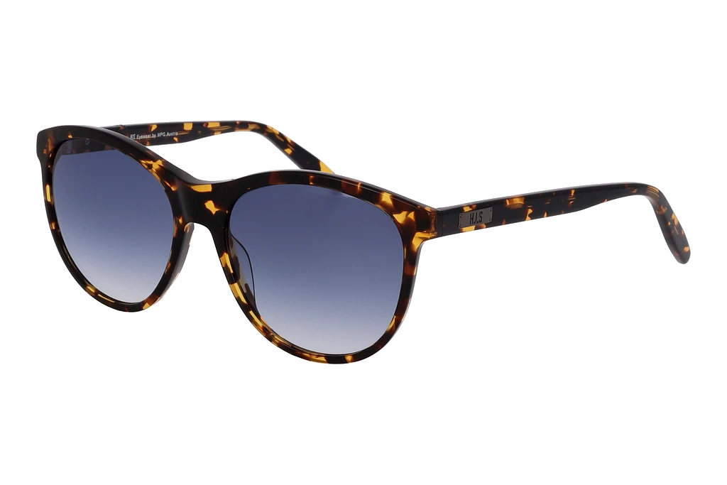 HIS Eyewear   HS381 001 black