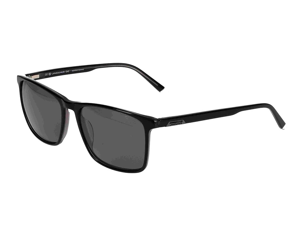 Vorderansicht Jaguar 37181 (4929)