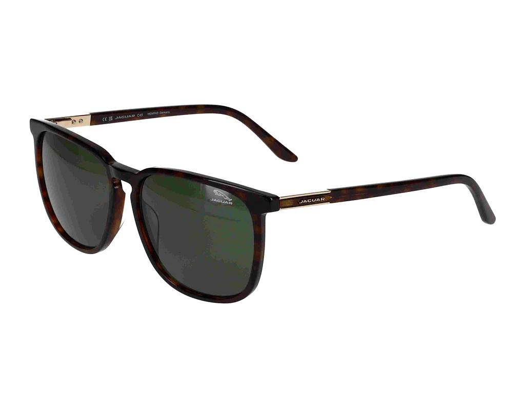 Vorderansicht Jaguar 37205 (8940)