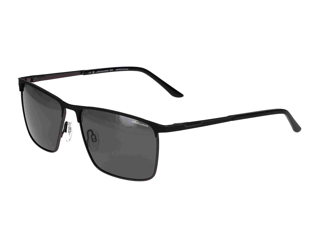 Vorderansicht Jaguar 37371 (6100)