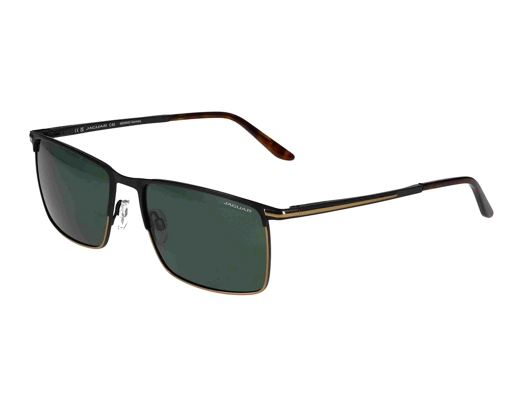 Vorderansicht Jaguar 37373 (4100)