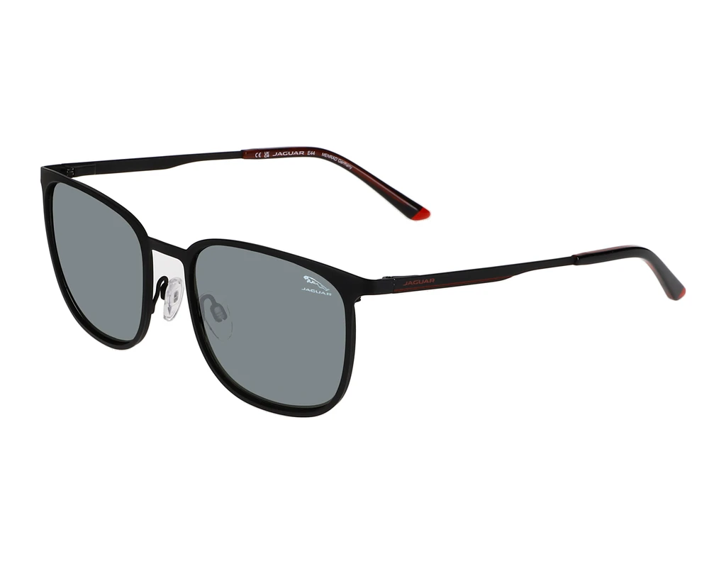 Vorderansicht Jaguar 37505 (6100)