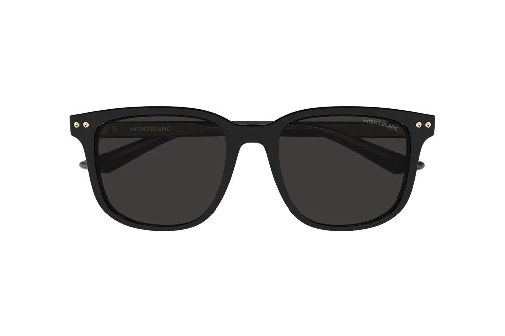 Vorderansicht Mont Blanc MB0258SA (001)