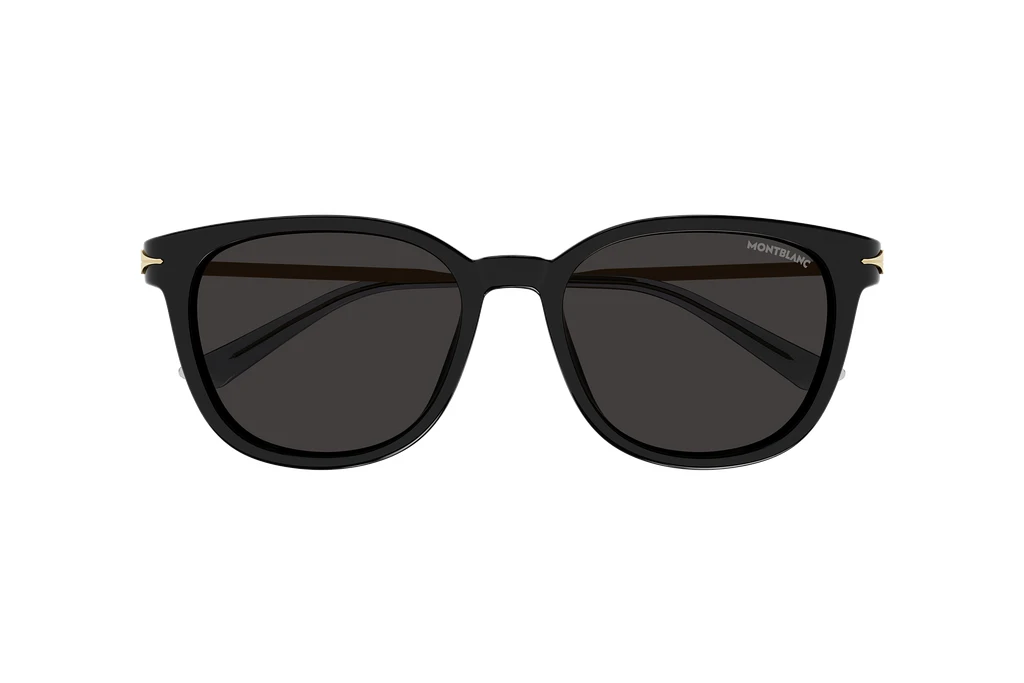 Vorderansicht Mont Blanc MB0304SA (001)