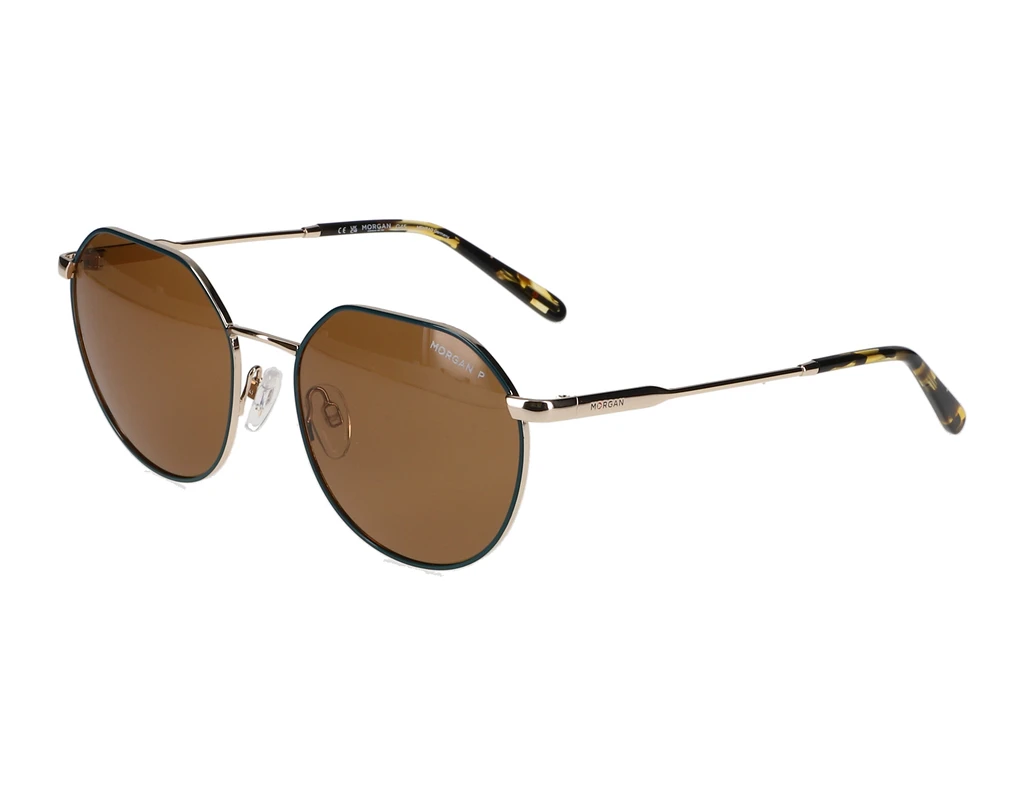 Vorderansicht Morgan 207379 (9500)