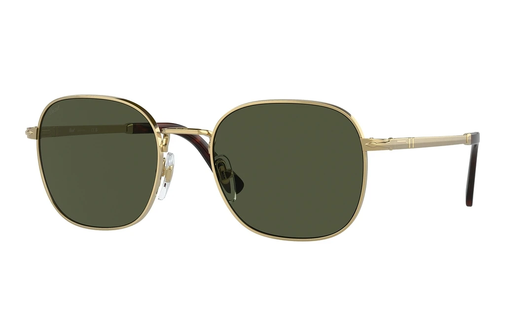 Persol   PO1009S 515/31 GreenGold