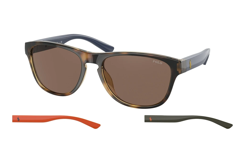 Polo   PH4180U 500373 BrownShiny Havana