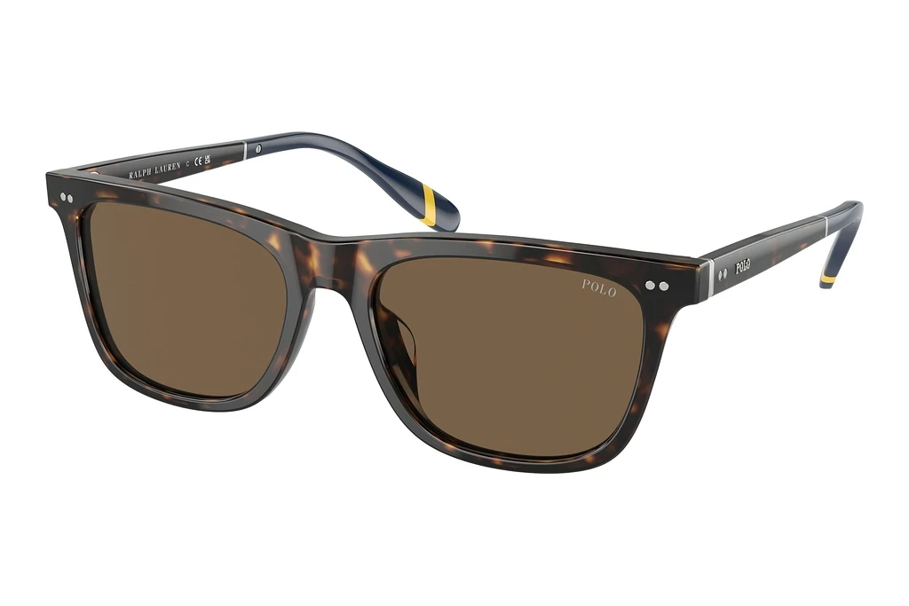 Polo   PH4205U 500373 BrownShiny Dark Havana