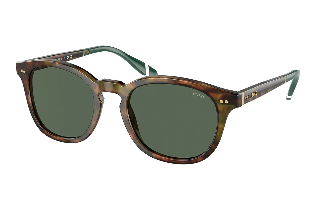 Polo   PH4206 501771 Bottle GreenShiny Brown Tortoise