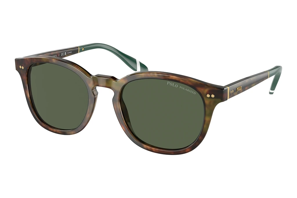 Polo   PH4206 50179A Bottle Green PolarizedShiny Brown Tortoise