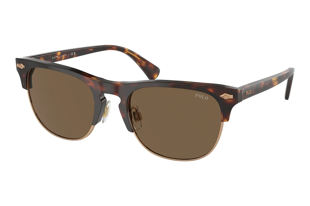 Polo   PH4213 613773 BrownShiny Brown Tortoise