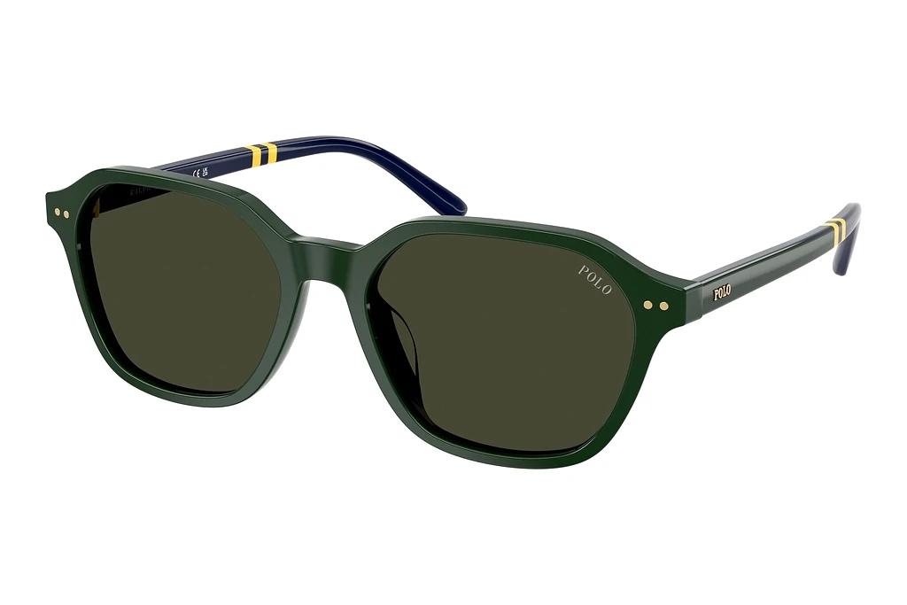 Polo   PH4234U 614082 BrownShiny Green