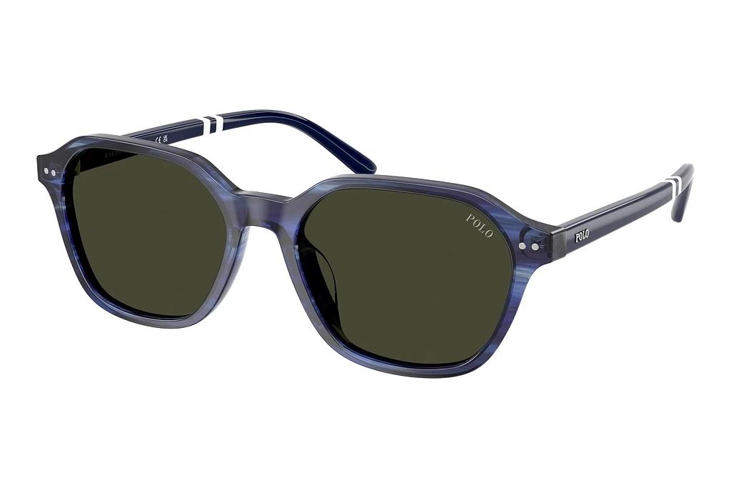 Polo   PH4234U 631487 Dark GreyShiny Striped Blue