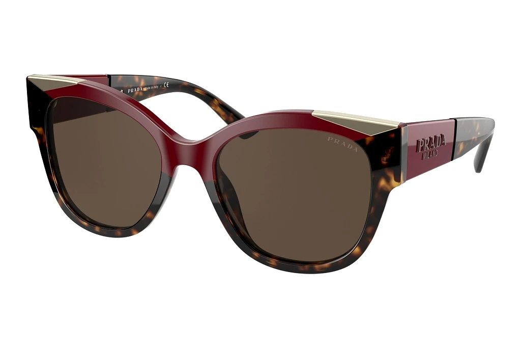 Prada   PR 02WS 07C0D1 Dark BrownCherry/Dark Havana