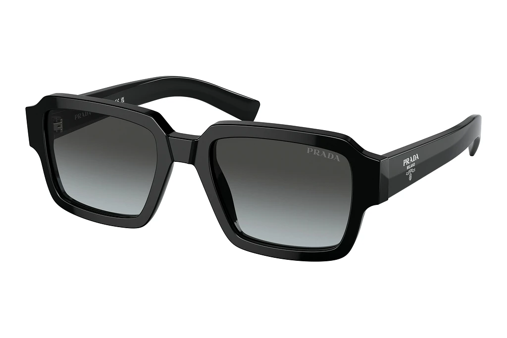 Prada   PR 02ZS 1AB06T Graphite Sfumato CristalloBlack